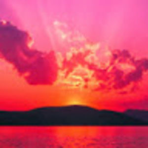 Meet your Posher, Charlotte